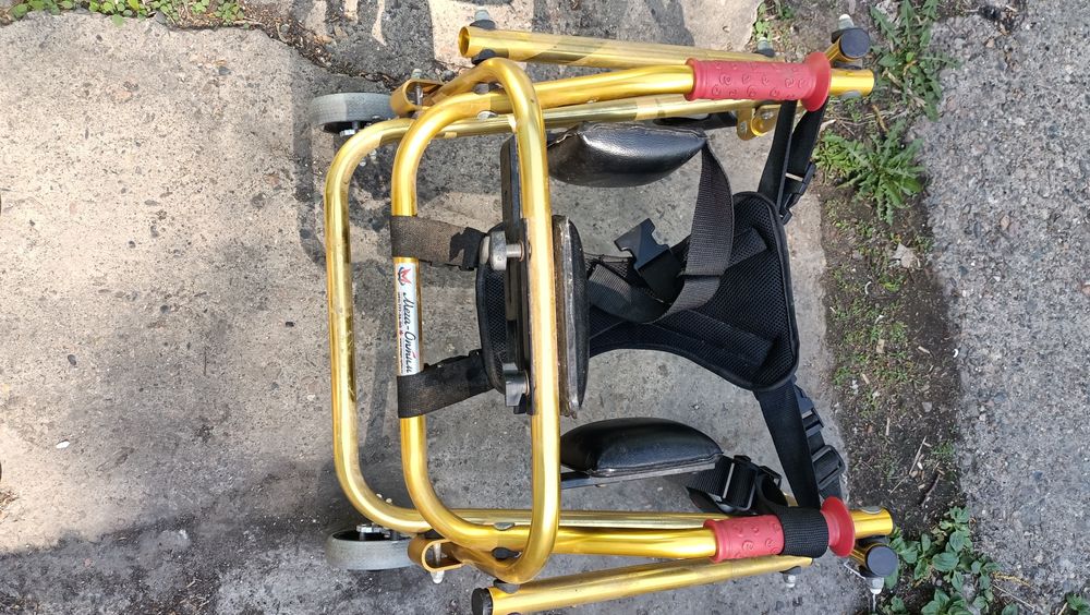 Ходунки детские для реабилитации