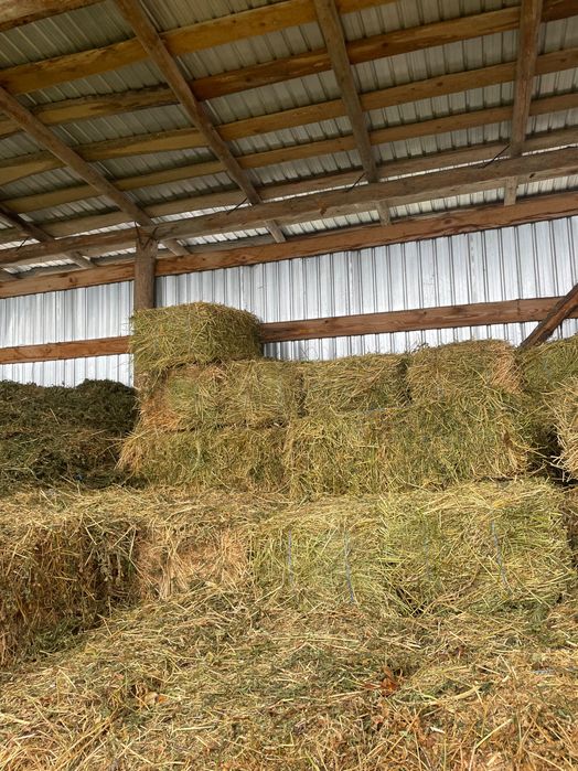 Baloți și lucernă de vânzare !