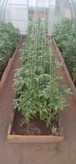 Продам дом на селе. 60 км. от города