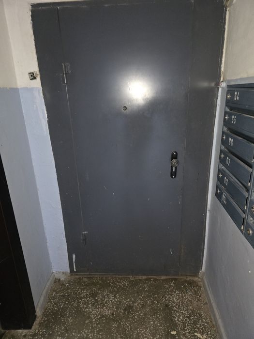 Металлическая дверь