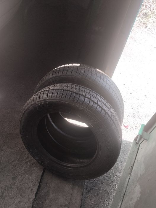 Лето новая 14...