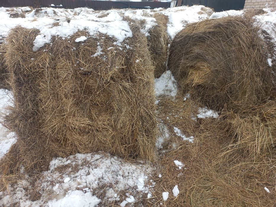 Продам  сено  350 кг