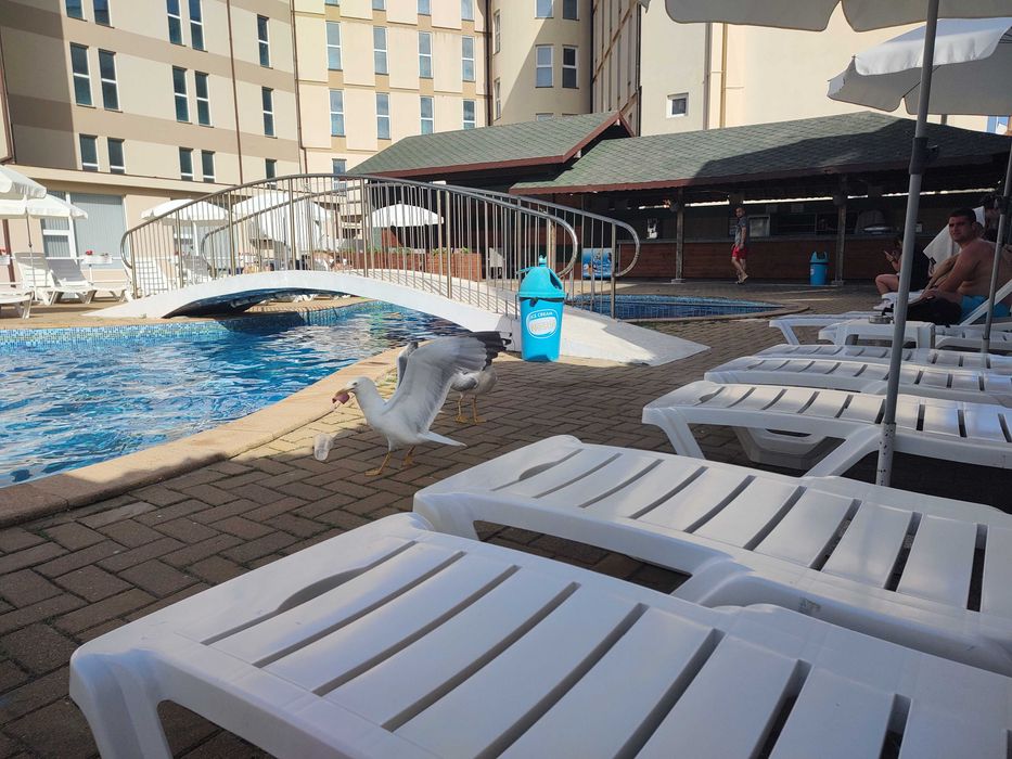 Дава се под наем Двустаен апартамент в к.к. Слънчев бряг - 40 кв.м за 298.86 € - Снимка #12