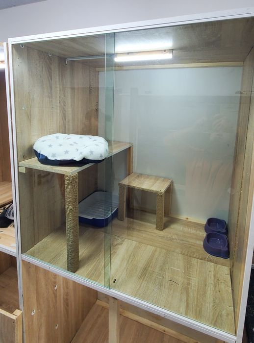 Зоо гостиница для кошек