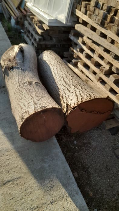 Vqnd lemn pt trepte scari la interior