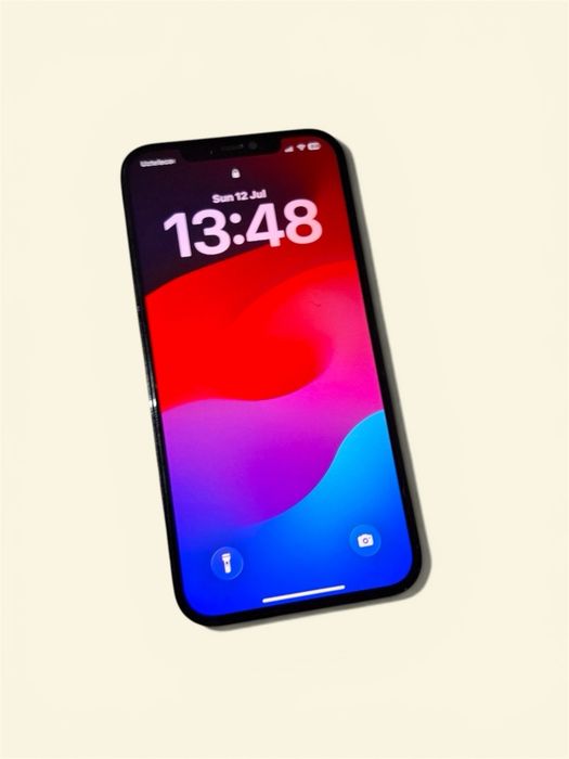 iPhone 12 Pro Max