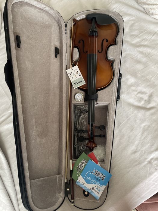 Скрипка для взрослых