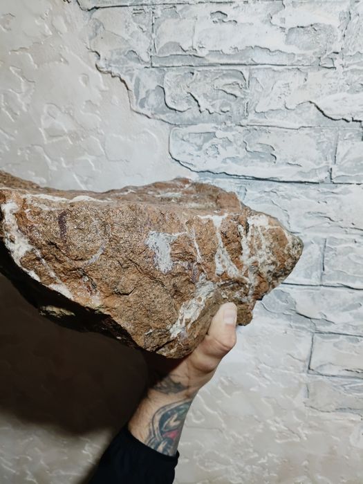 Аквариумные плитняки