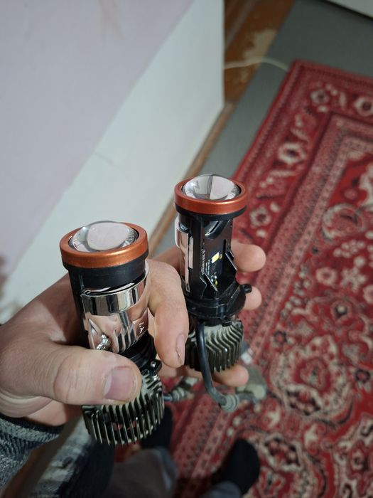 Led Y7 palasa tashidi