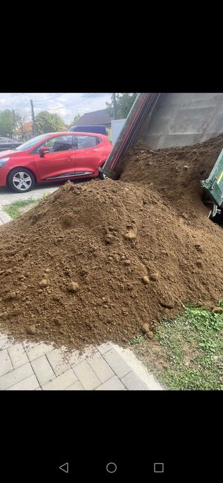 Pamant galben nisipos calitatea 1