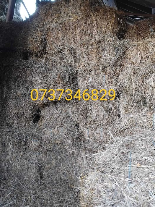 Vând baloți din fan de munte