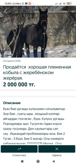 Продаётся кобыла с жеребёнком жерёбая