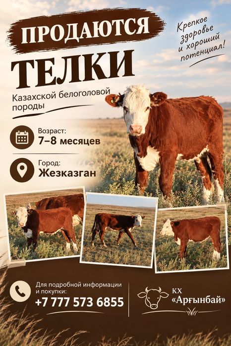 Продаются телки 9 месячные