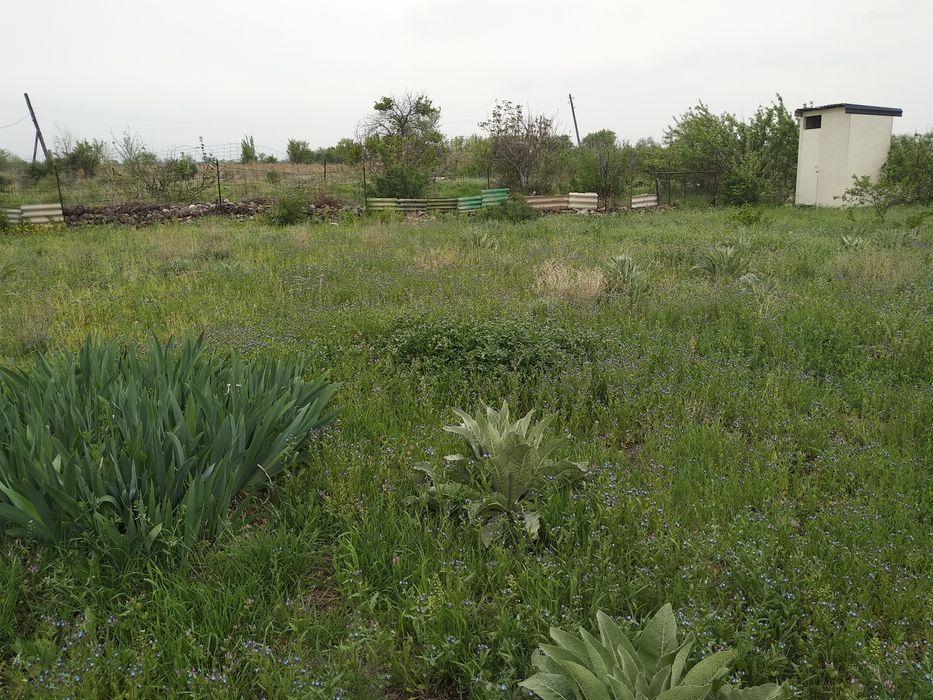 Продам дачу с домиком ,9 соток(гос.акт)