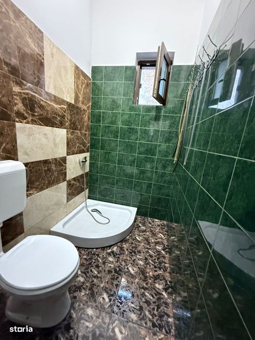 Spatiu comercial+locuinta la mansarda,3 dormitoare, living,5 bai, tere