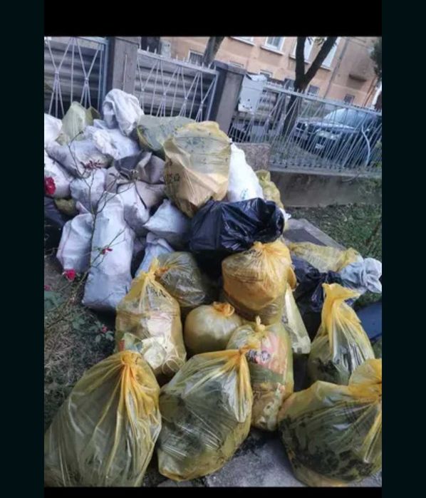 Moloz debarasari gunoaie