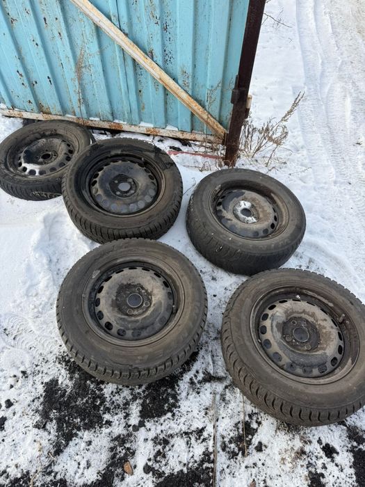 Штамы на r15.