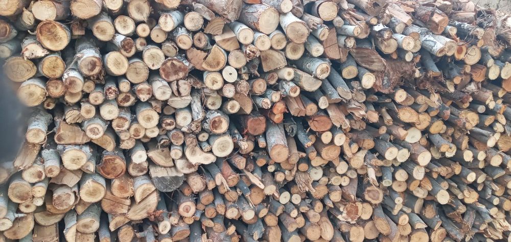 Утин сотилади  мевали ва мевасиз копланган холда хам бор