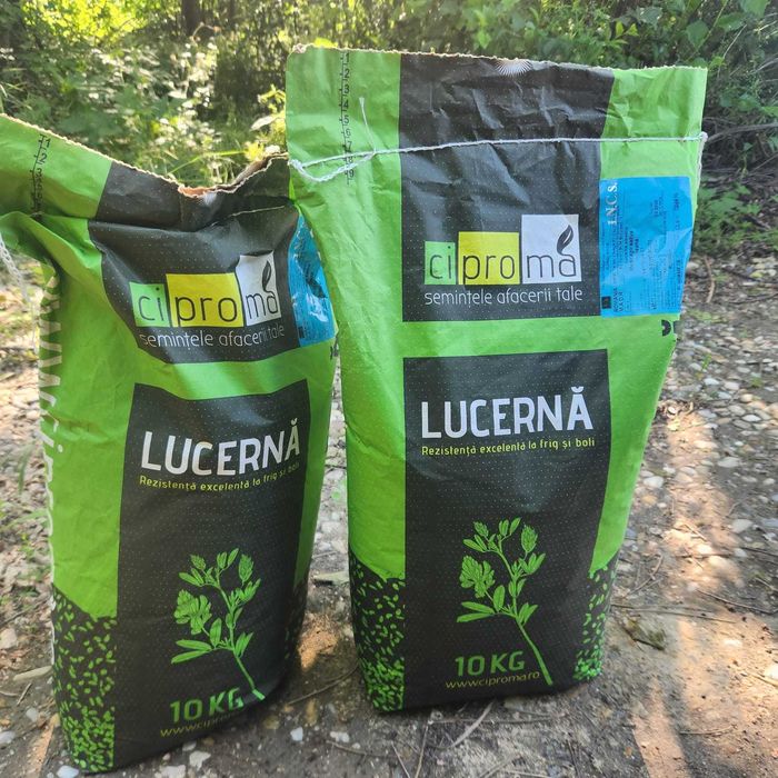 Samanta LUCERNA ecologica