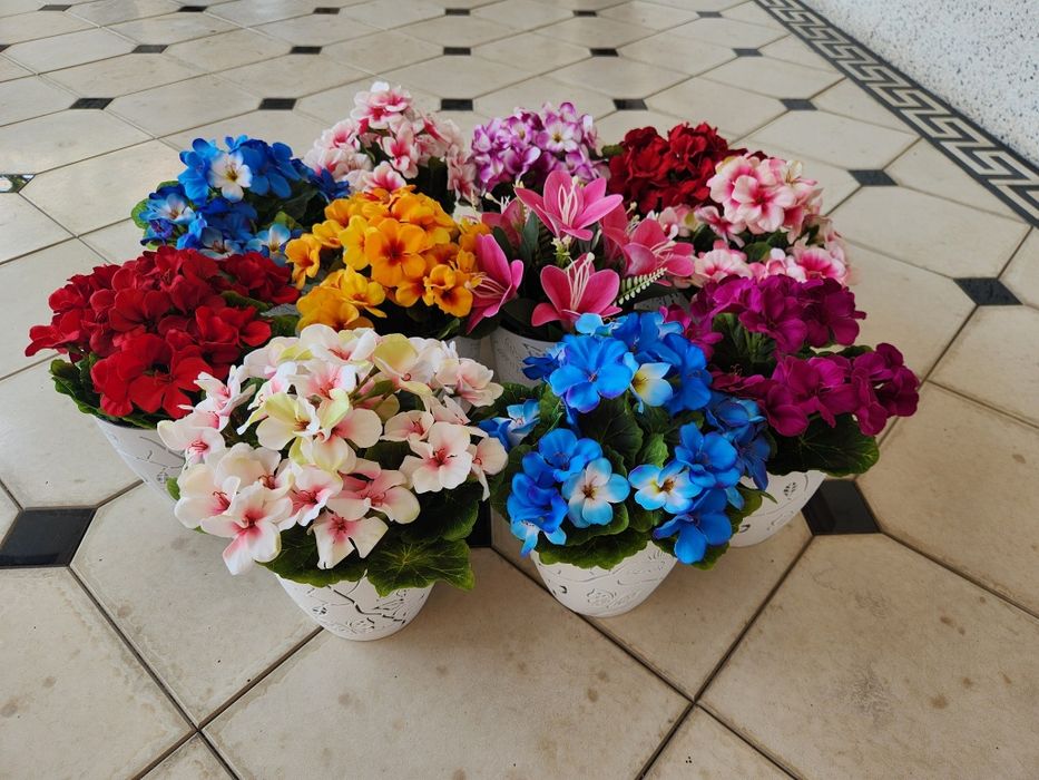 Оптим нархда суний гуллар