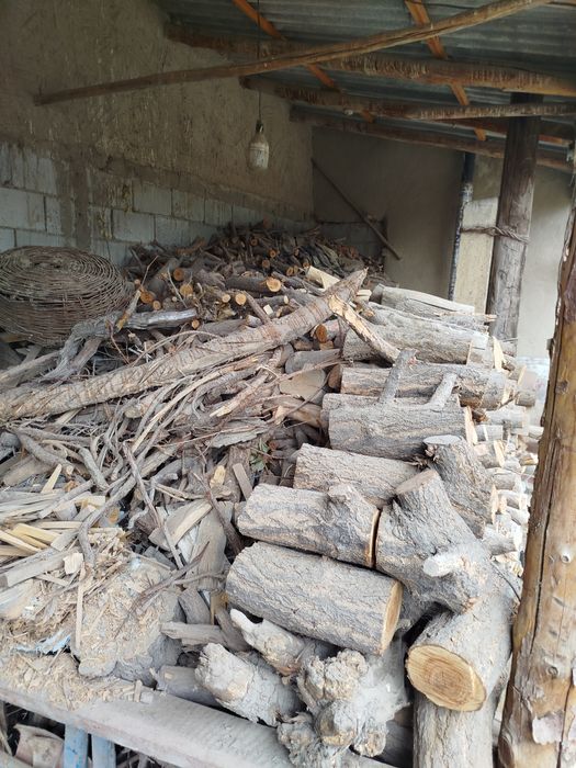 Oʻtin sotiladi oʻrik daraxti maydalangan tayyor