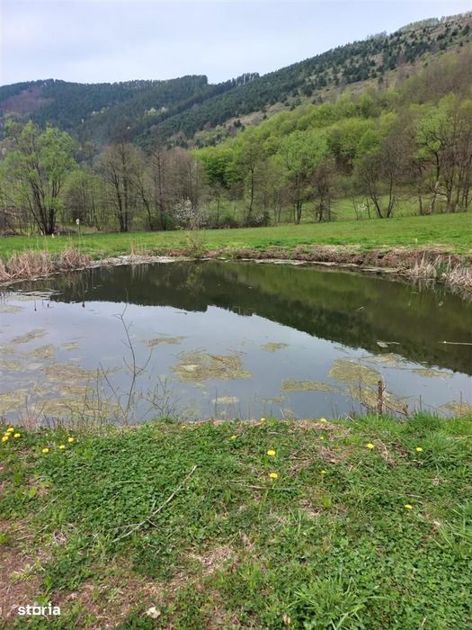 Teren intravilan cu utilitati, zona turistica Bulz,Bihor