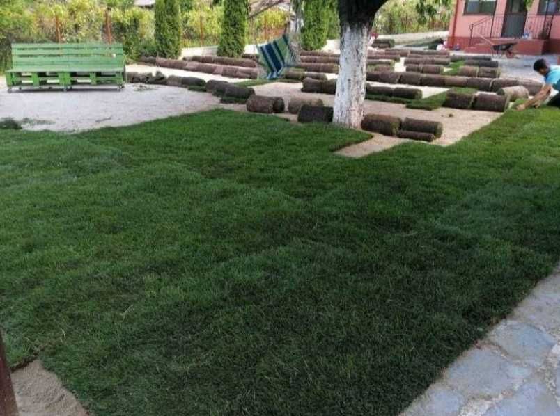 Gazon rulou Insamantare si sisteme de irigatii