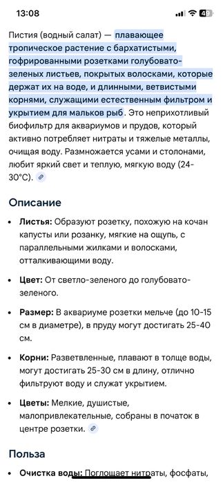 Пистия аквариумная