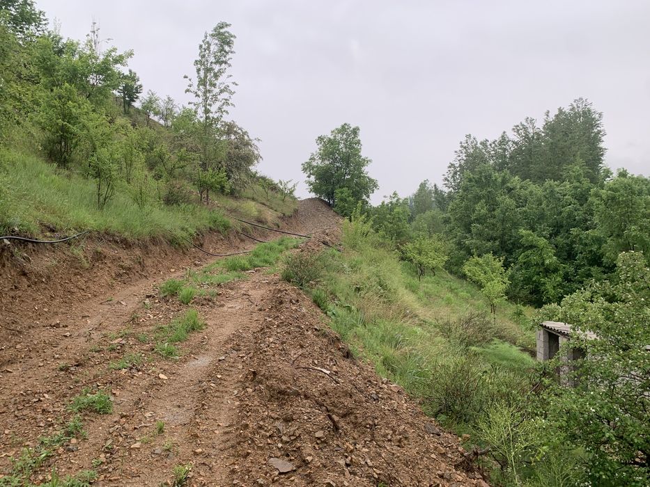 Dacha choyxona sotiladi
