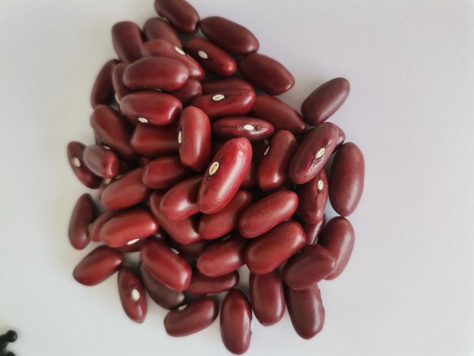 Fasole roșie Argentina