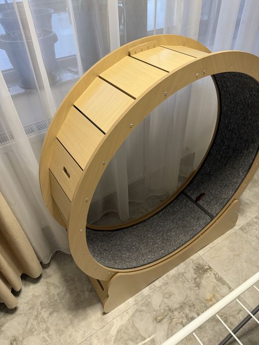 Banda roata alergare pisici. Noua