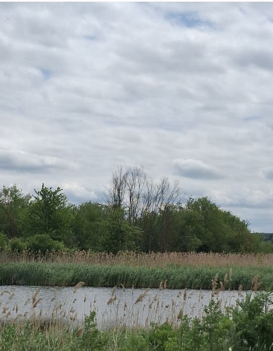 Oferta! Casa Cu Iesire Lac