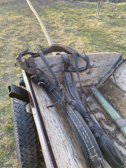 Faiton și ham de piele