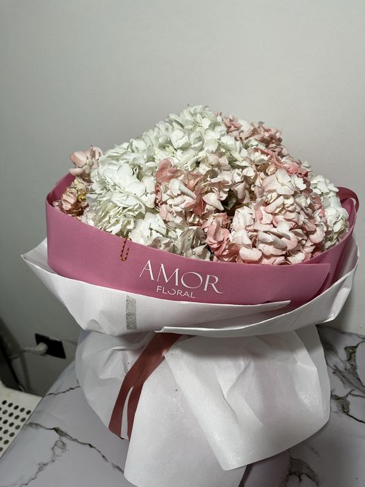 Гортензии 10 штук