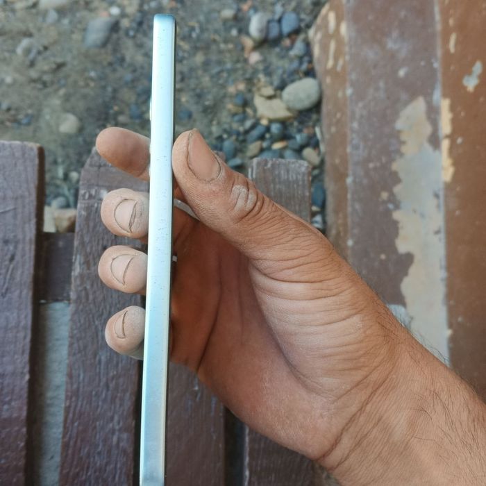 Xiaomi 12 lite normalniy sastiyanada