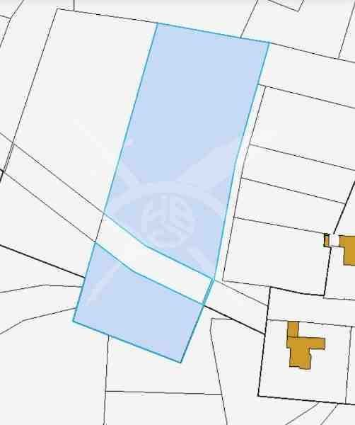 Земеделска земя в с.Кошарица! 102284