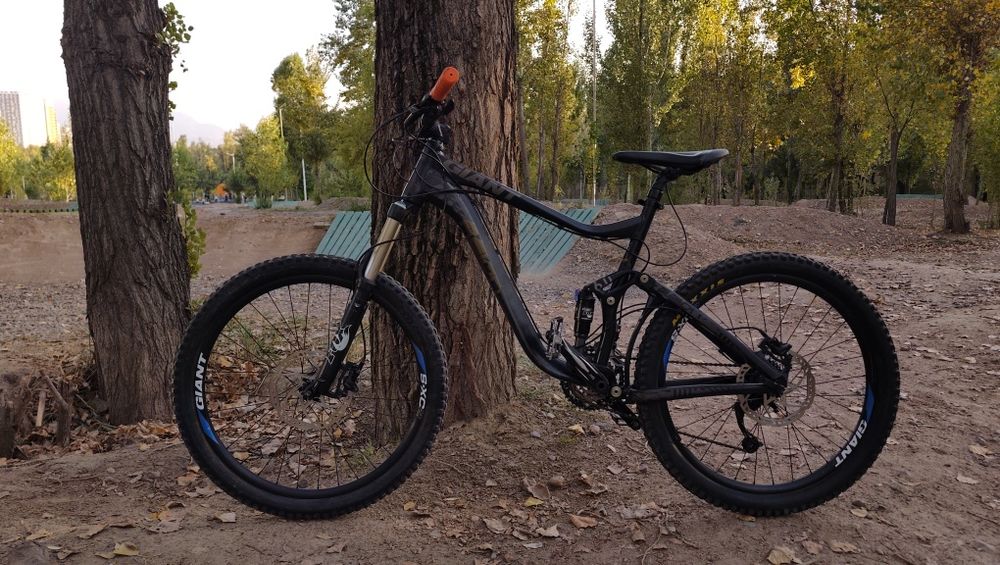 Giant Raign 2012 L