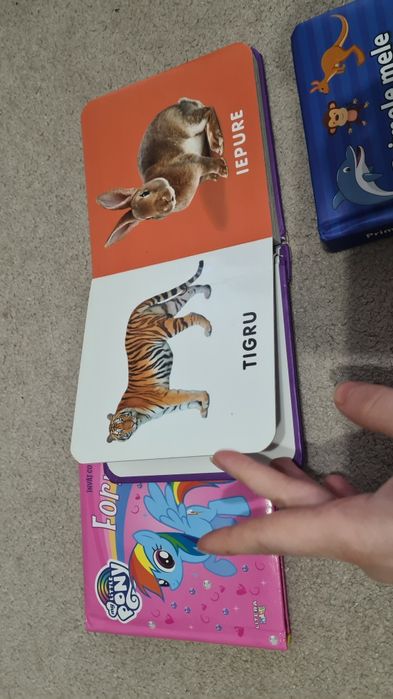 Cărticele carte copii primele cuvinte animale forme