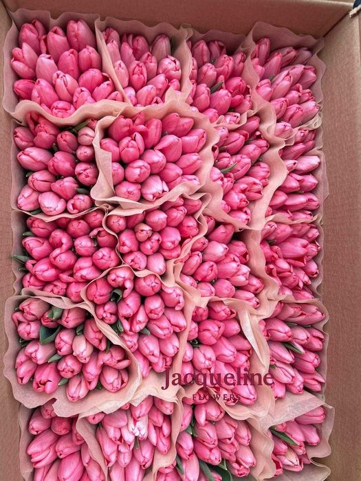 Премиальные местные тюльпаны оптом