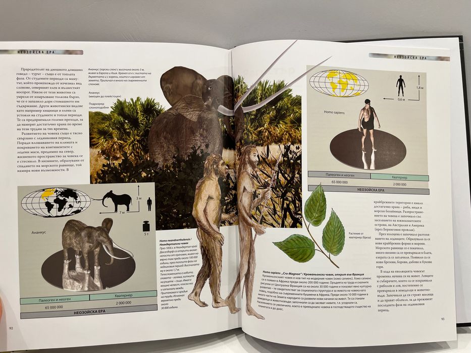 НОВА Енциклопедия - Динозаврите