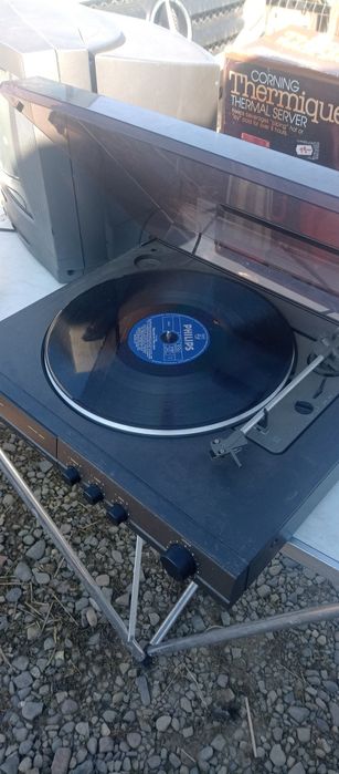 Picab adus din Germania fără ac