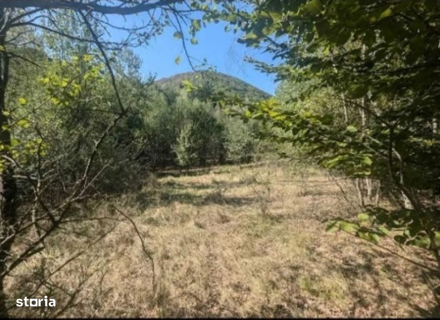 Teren extravilan Loc. Valea Mare, jud. Valcea