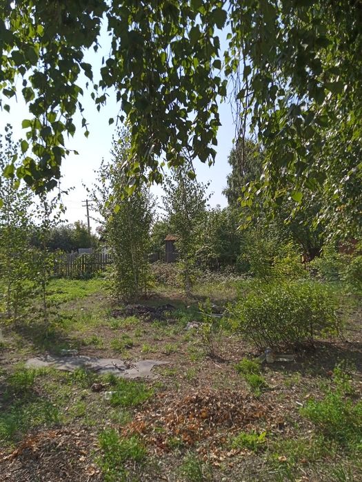 Дача сад Северный