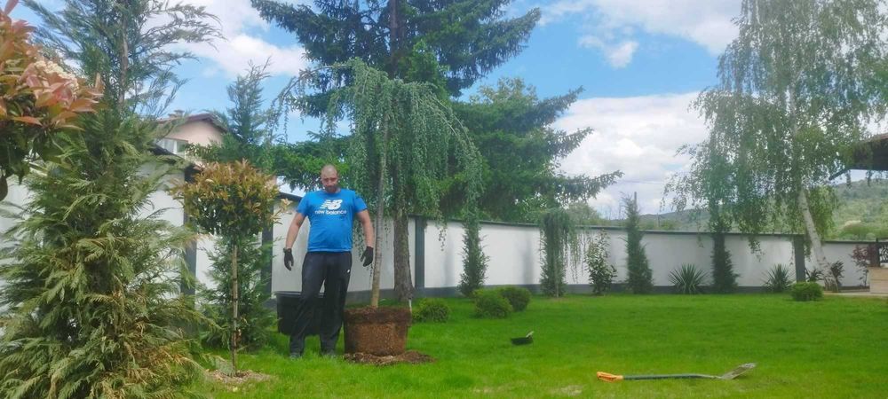 Градински услуги и напоителни системи