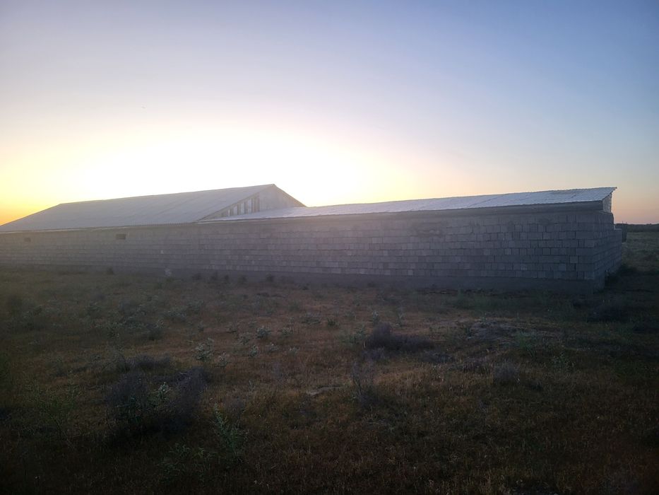 Фазендаға срочно срочно