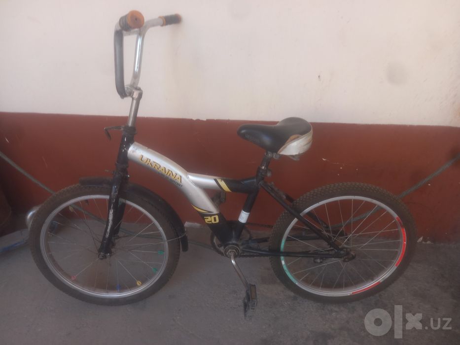 Holat yang olib haydasa bold