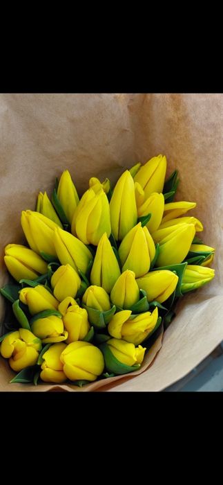 Тюльпаны разных сортов оптом и розницу