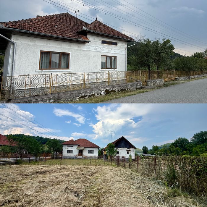 Casă spațioasă de vânzare în Rișculița, comuna Baia de Criș, jud. Hunedoara