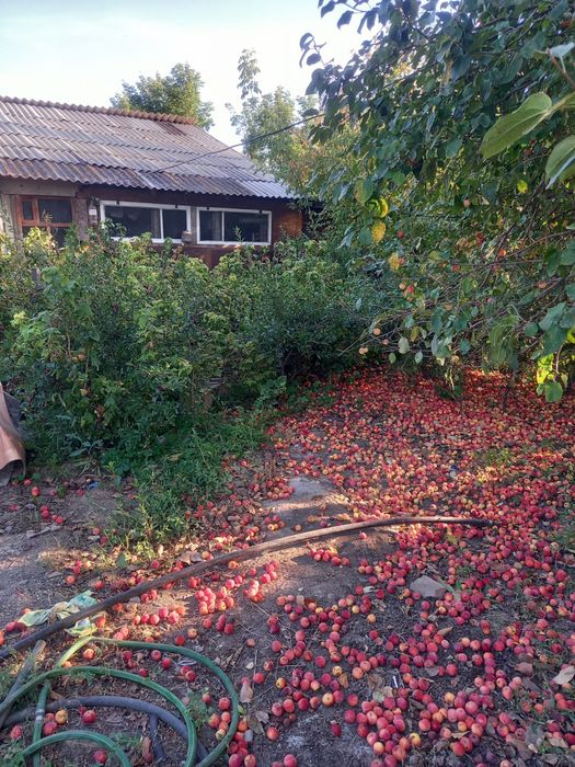 Продам кирпичный дом