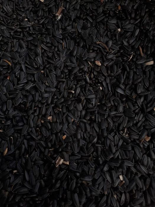 Семечки для корма, для птицы